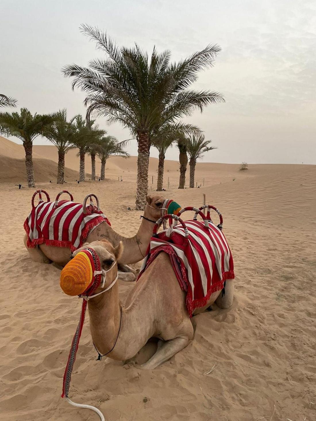 Hotel Al Khayma Camp "Elite Glamping & Dining In Experience" Hunaywah Exterior foto